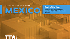 Mexico - Annual Report 2025